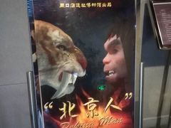 -北京周口店北京人遗址博物馆