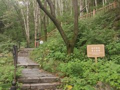 -白草畔自然风景区