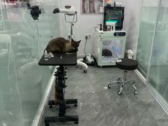 -爱洗澡的猫(望京店)