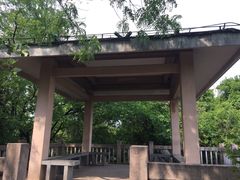 -九曜山