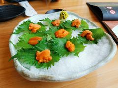 鲜活海胆-王鼎精致料理铁板烧(世博源店)