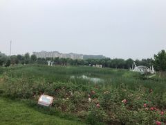 -北京美神宫艺术主题温泉酒店