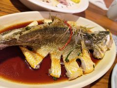东海黄花鱼-黄寺蒸汽海鲜(黄寺大街店)