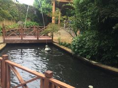 -热带风暴水上乐园(新镇路)