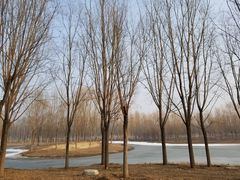 -东郊湿地公园