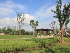 -九里河湿地公园