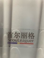 -上海首尔丽格医疗美容医院