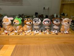 -柴务处·柴犬主题狗咖