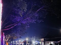 -风云岭森林公园