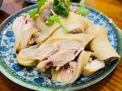 -九斤黄三黄鸡专卖店