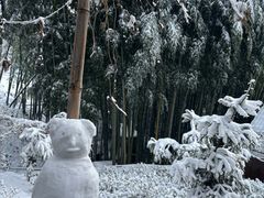 -藏龙百瀑风景区