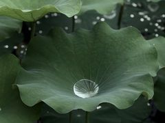 -乌石村