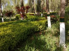 -大兴滨河森林公园