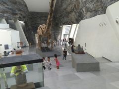 -中华赏石园