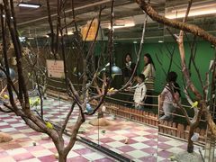 -上海大自然野生昆虫馆(东方明珠·爬宠昆虫探索中心)