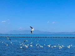 -大理洱海