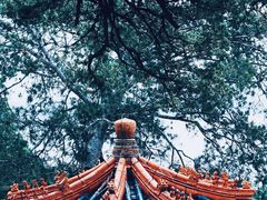-颐和园-画中游