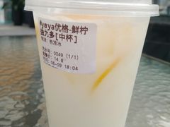 鲜柠益力多-绿韵风情吧(三峡广场店)