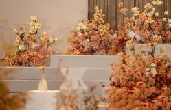 -明典婚礼策划·婚车租赁·婚纱摄影