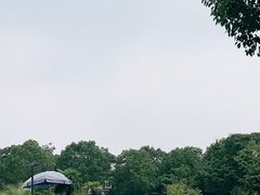 -浦鸿会游泳健身中心·Ambassy Club PD(金桥碧云国际社区店)