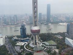 -上海波特曼丽思卡尔顿酒店
