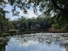 -海南热带野生动植物园