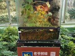 -南宫五洲植物乐园