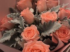 -海底捞火锅(金光华店)