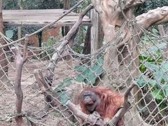-广州长隆野生动物世界