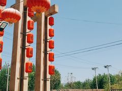 -食家鸽园
