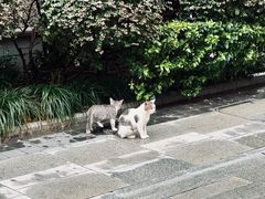 -思南书局(复兴中路店)