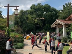 -中国茶叶博物馆(双峰馆区)