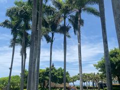 -三亚亚龙湾万豪度假酒店