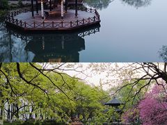 -茅家埠