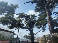 -妙峰山风景名胜区