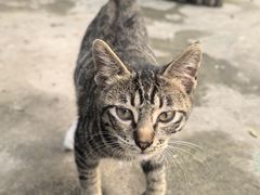 -小象钓虾·营地烧烤(洛溪店)