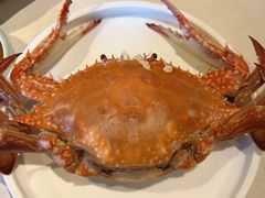 -开海·红岛海鲜虾水饺(石老人店)