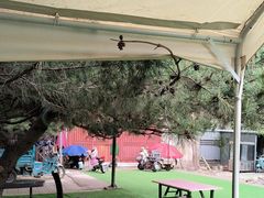 -尚庄度假村·庭台树下·户外烧烤·团建CS·轰趴营地(上庄水库店)