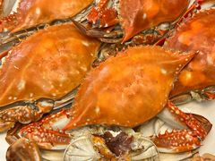 -金沙滩海鲜餐厅·海肠捞饭·手工水饺(梅江龙水园店)