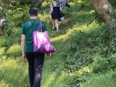 -放鸡岛生态旅游国际度假区