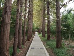 -同里国家湿地公园