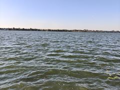 -丁香湖公园