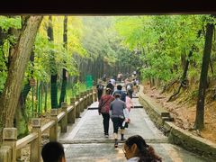 -灵岩山风景区