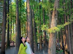 -东湖落雁景区