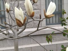 -上海市控江中学