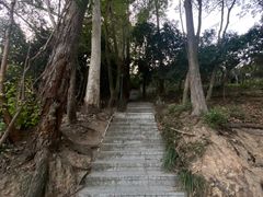 -小南山公园