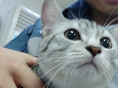 -一些柠檬一些茶(西村店)