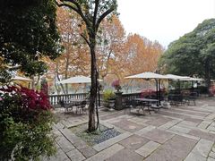 -杭州新新饭店·1913餐厅