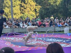 -南京金牛湖风景区