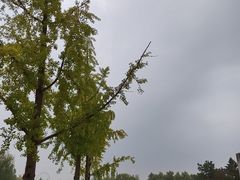 -西安浐灞国家湿地公园